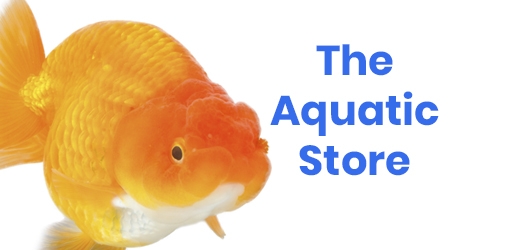 The Aquatic Store